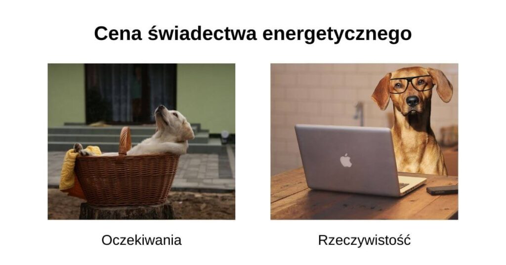 Cena świadectwa energetycznego domu - oczekiwania vs rzeczywistość 